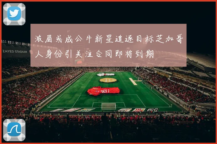 浓眉或成公牛新星追逐目标芝加哥人身份引关注合同即将到期